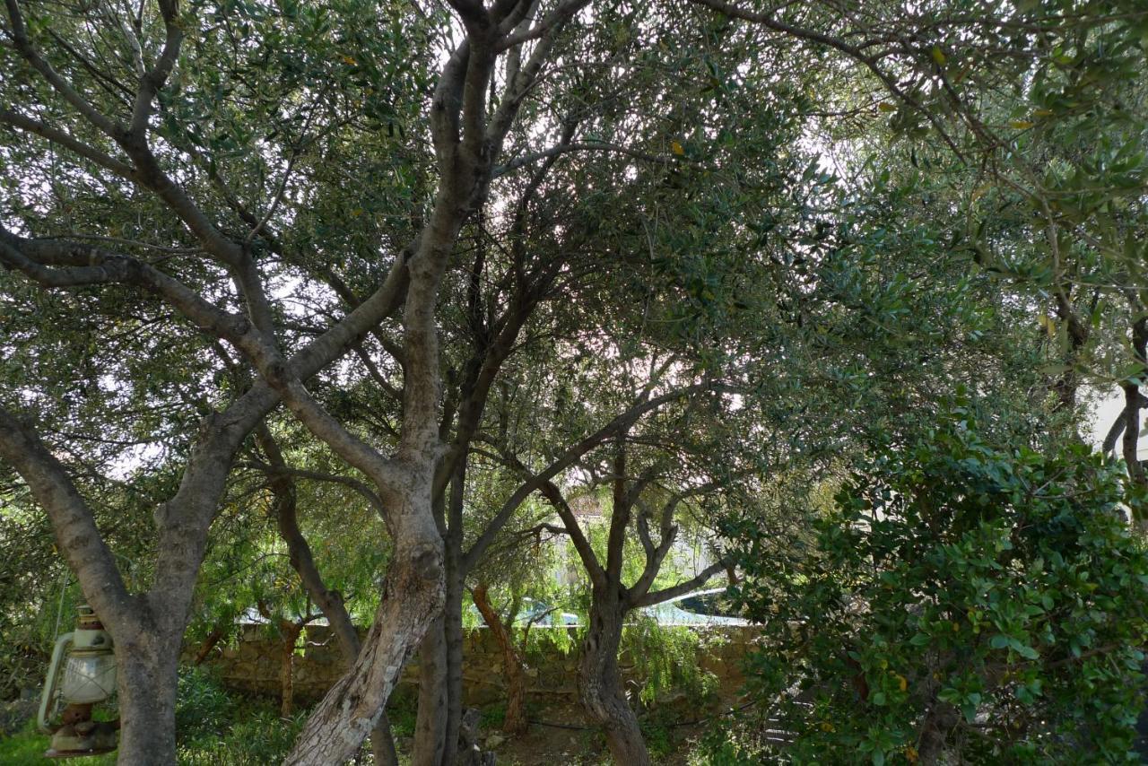 Nidu Accogliente In Balagna Apartment L'Ile-Rousse  Bagian luar foto